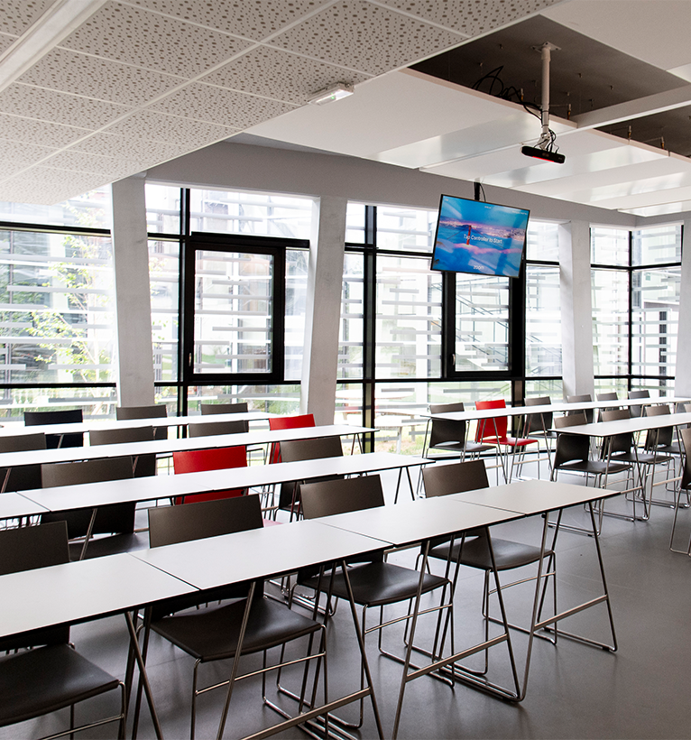 IESEG